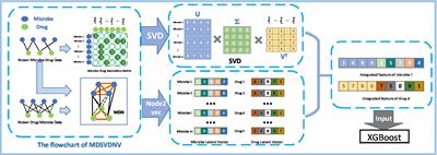 MDSVDNV: predicting microbe–drug associations by singular value decomposition and Node2vec